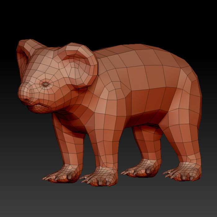 3D KOALA BEAR 3D model_1