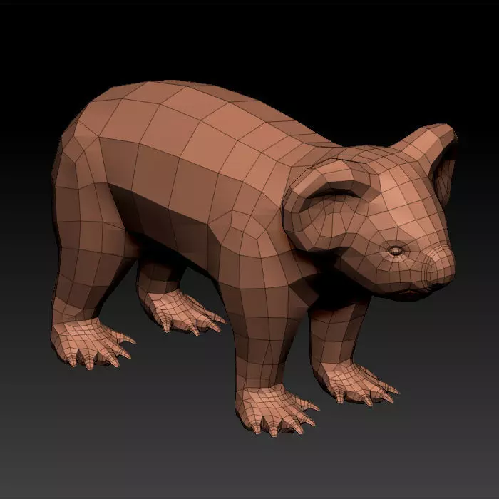 3D KOALA BEAR 3D model_0