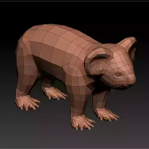3D KOALA BEAR