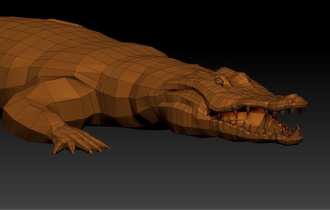 3D KOALA BEAR 3D model_8