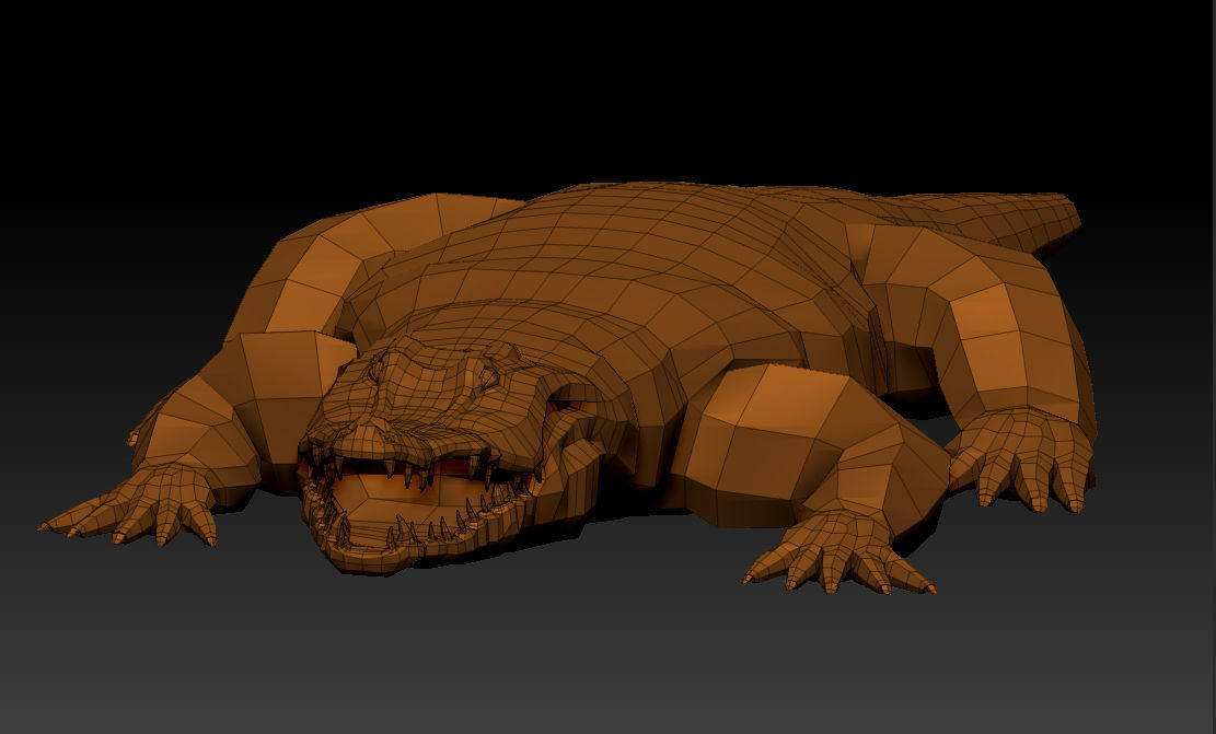 3D KOALA BEAR 3D model_11