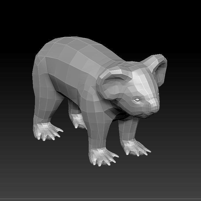 3D KOALA BEAR 3D model_4
