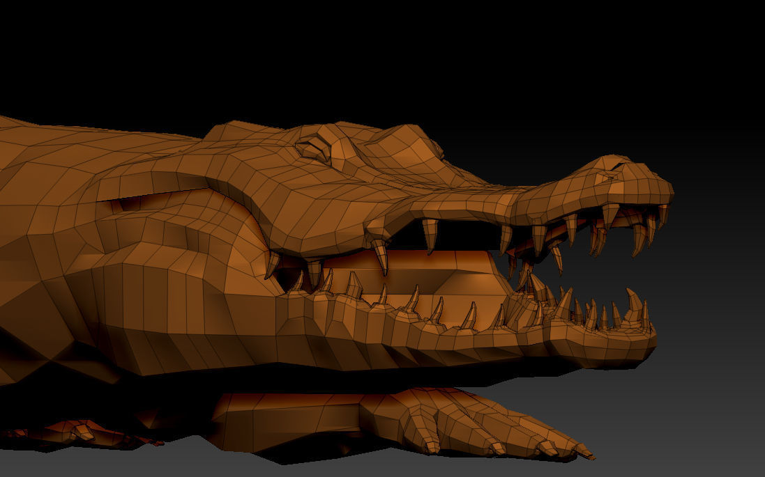 3D KOALA BEAR 3D model_13