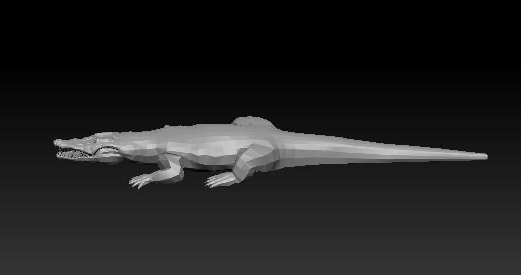 3D KOALA BEAR 3D model_15