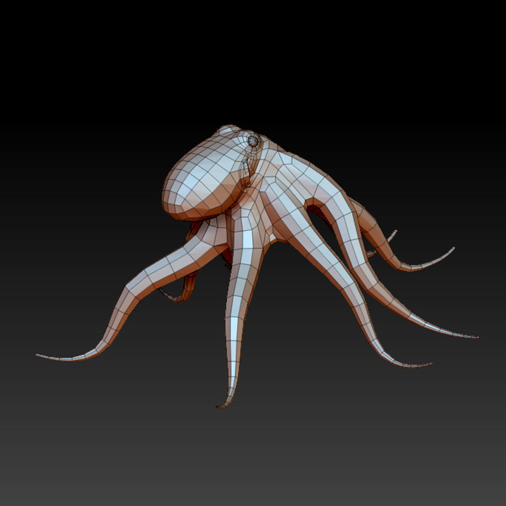 3D OCTOPUS LOWPOLY Low-poly 3D model_13