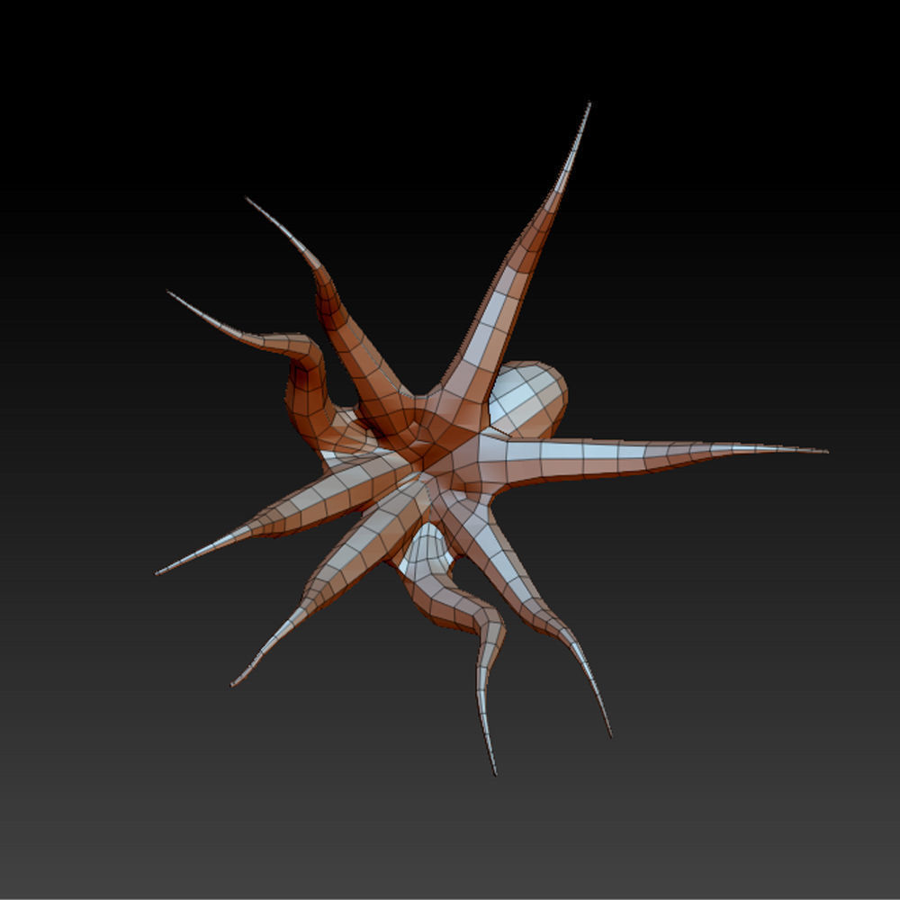 3D OCTOPUS LOWPOLY Low-poly 3D model_10