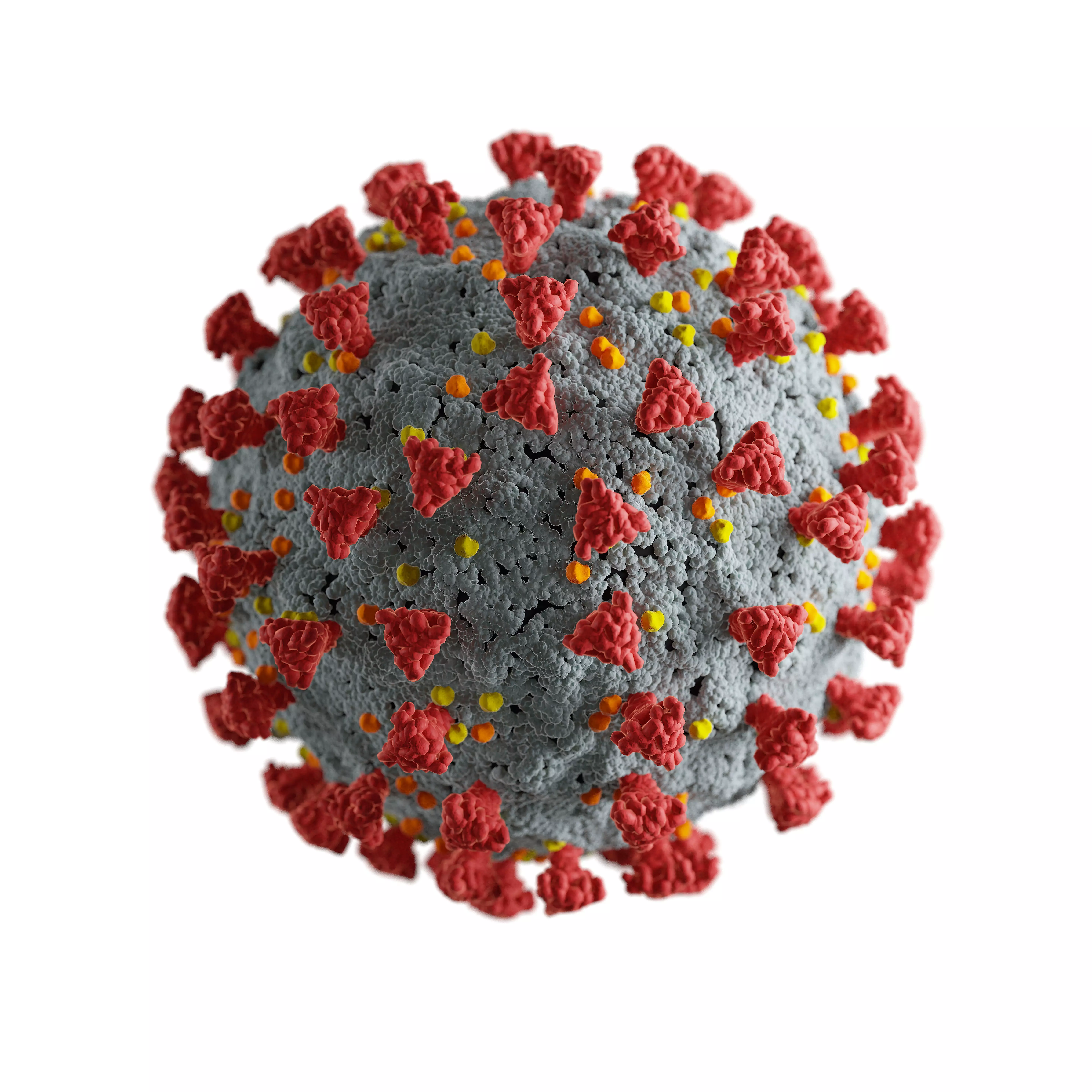 Corona Virus 3D model_0
