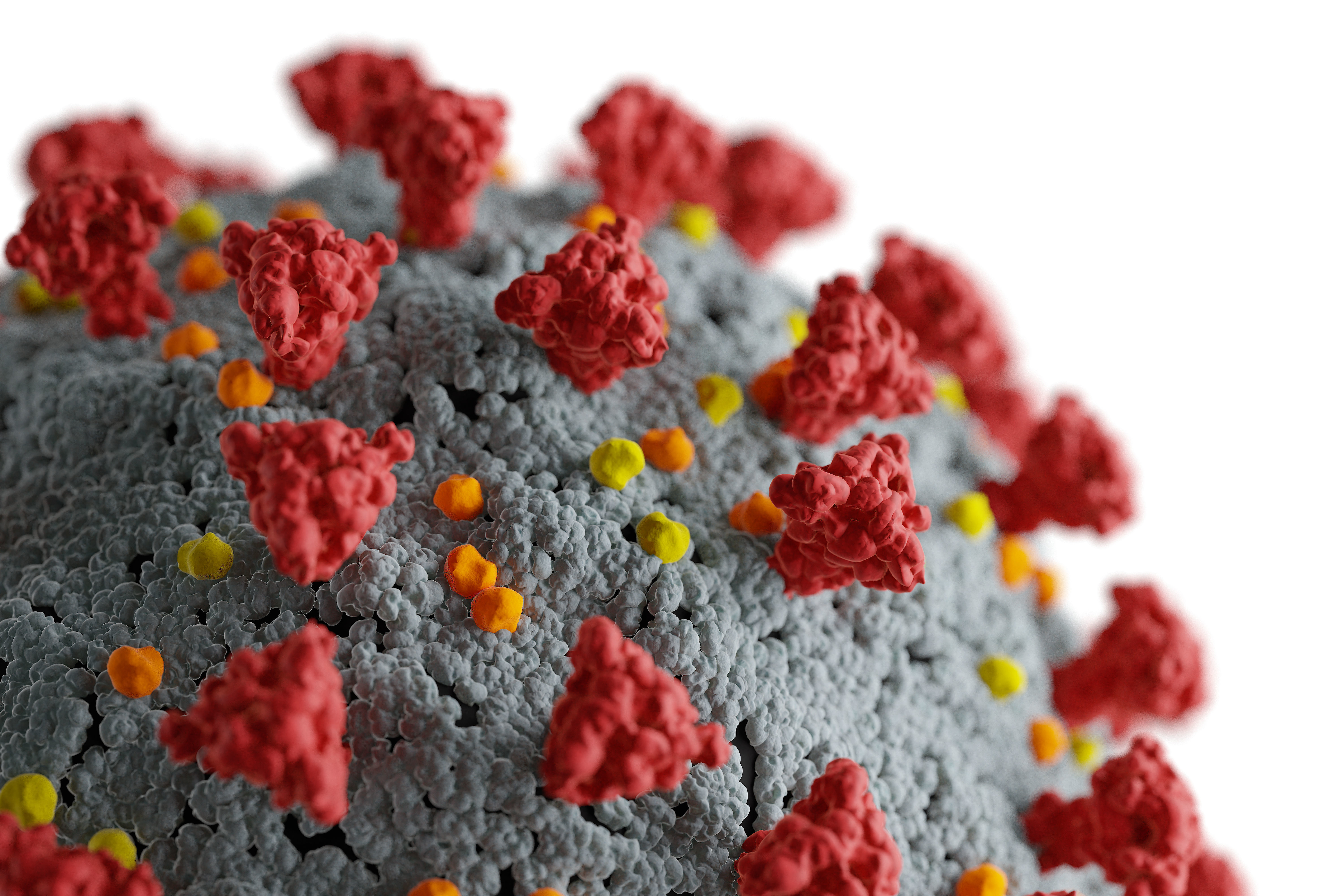 Corona Virus 3D model_1