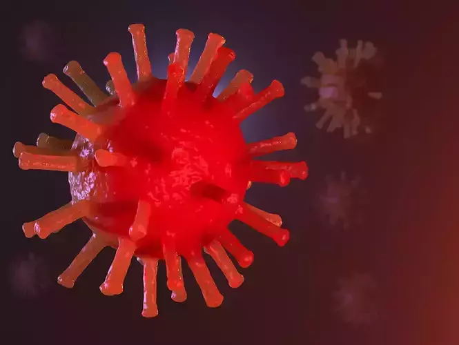 Coronavirus COVID-19