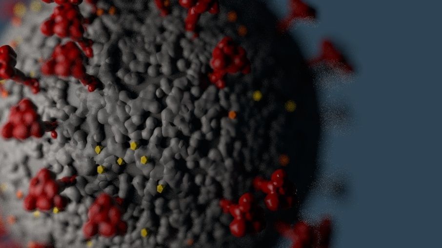 Coronavirus  covid 19  3D model_4