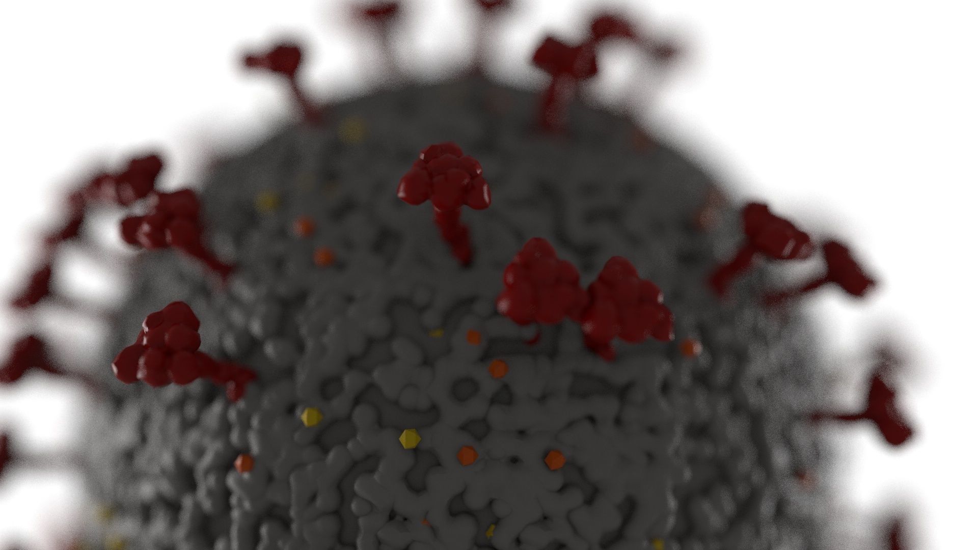 Coronavirus  covid 19  3D model_2
