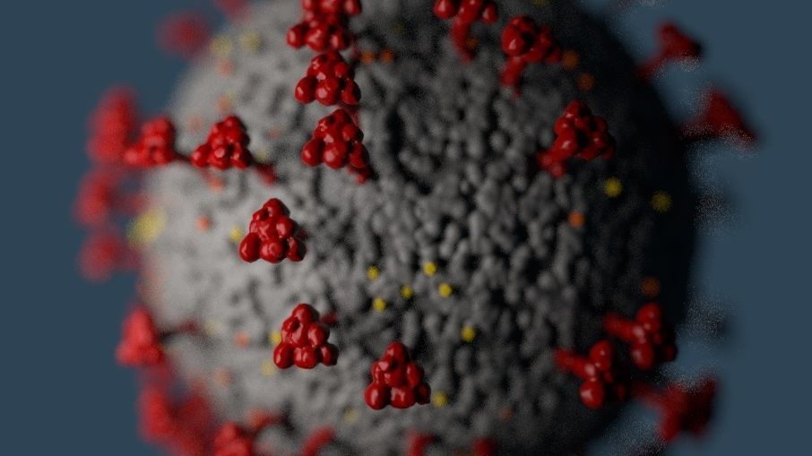 Coronavirus  covid 19  3D model_5