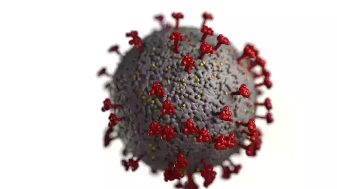 Coronavirus  covid 19  3D model