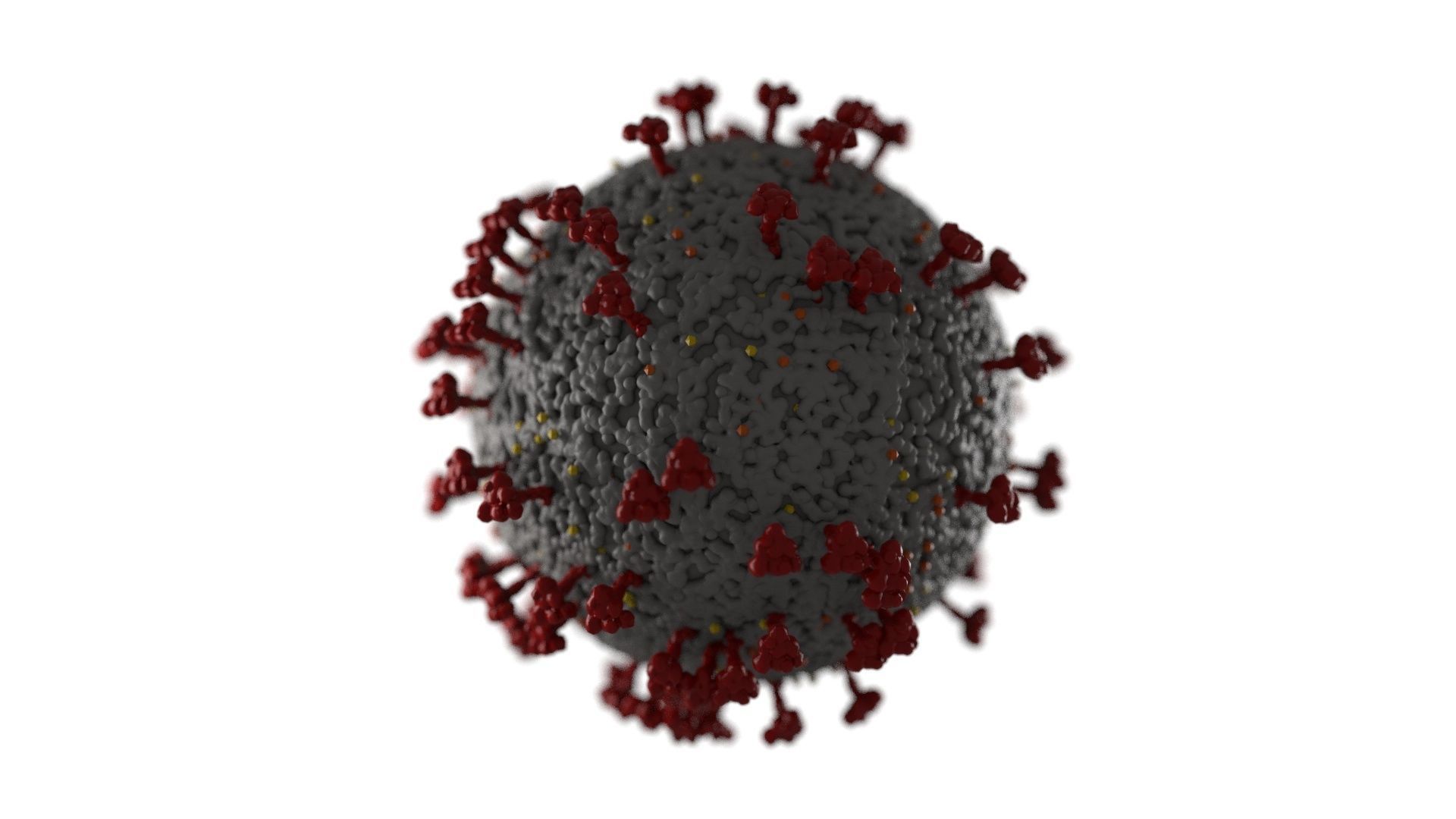 Coronavirus  covid 19  3D model_3