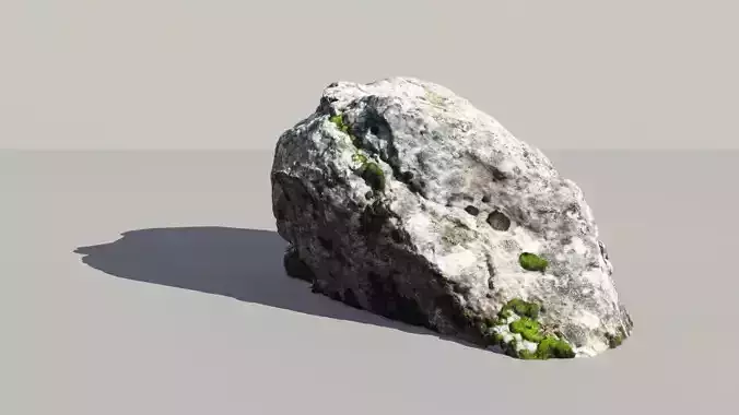 Lichen Covered Rock 3D Scanned Model