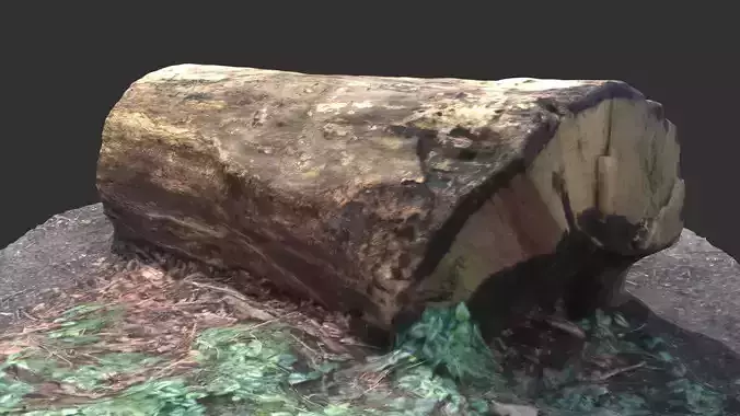 3D sawn of tree part 2