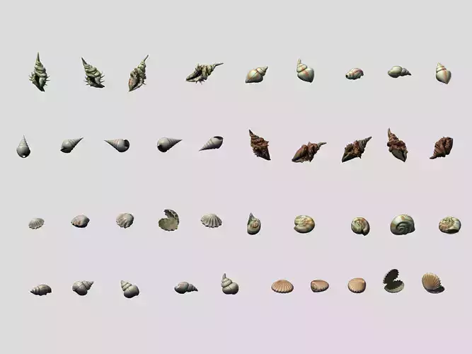 Vampire Sinat - Shell 01