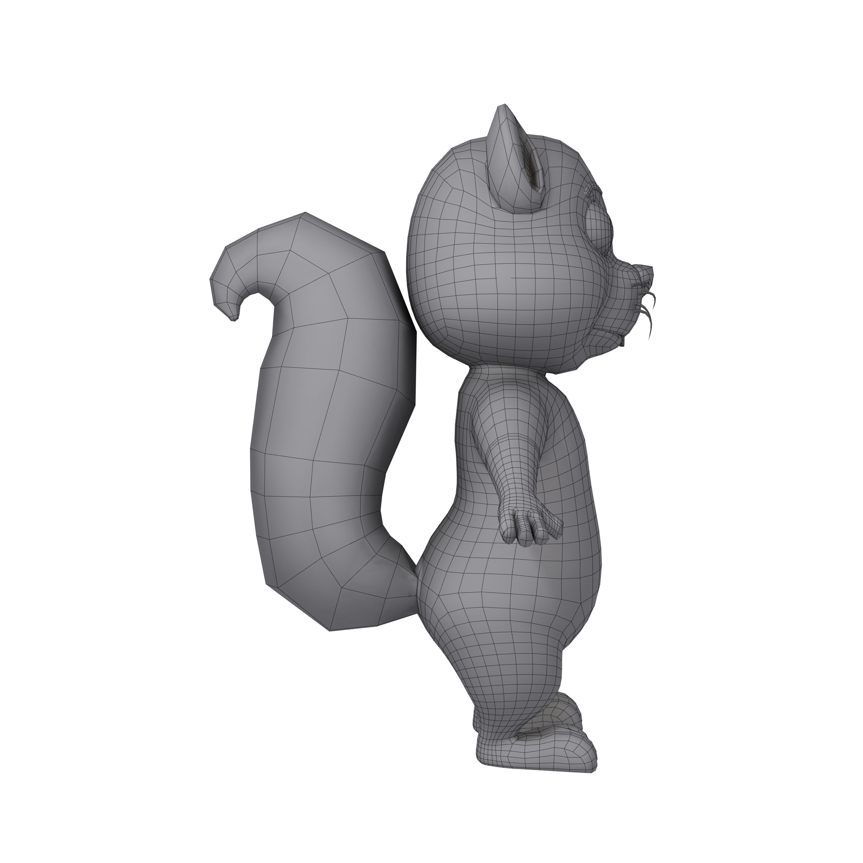 Squirrel Cartoon 3D model_6