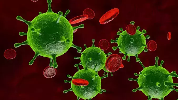 Corona Virus 3D model