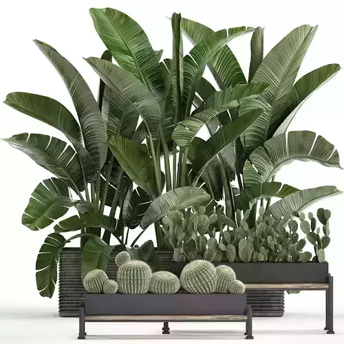 Decorative plants in flower pots for the interior 458 3D model