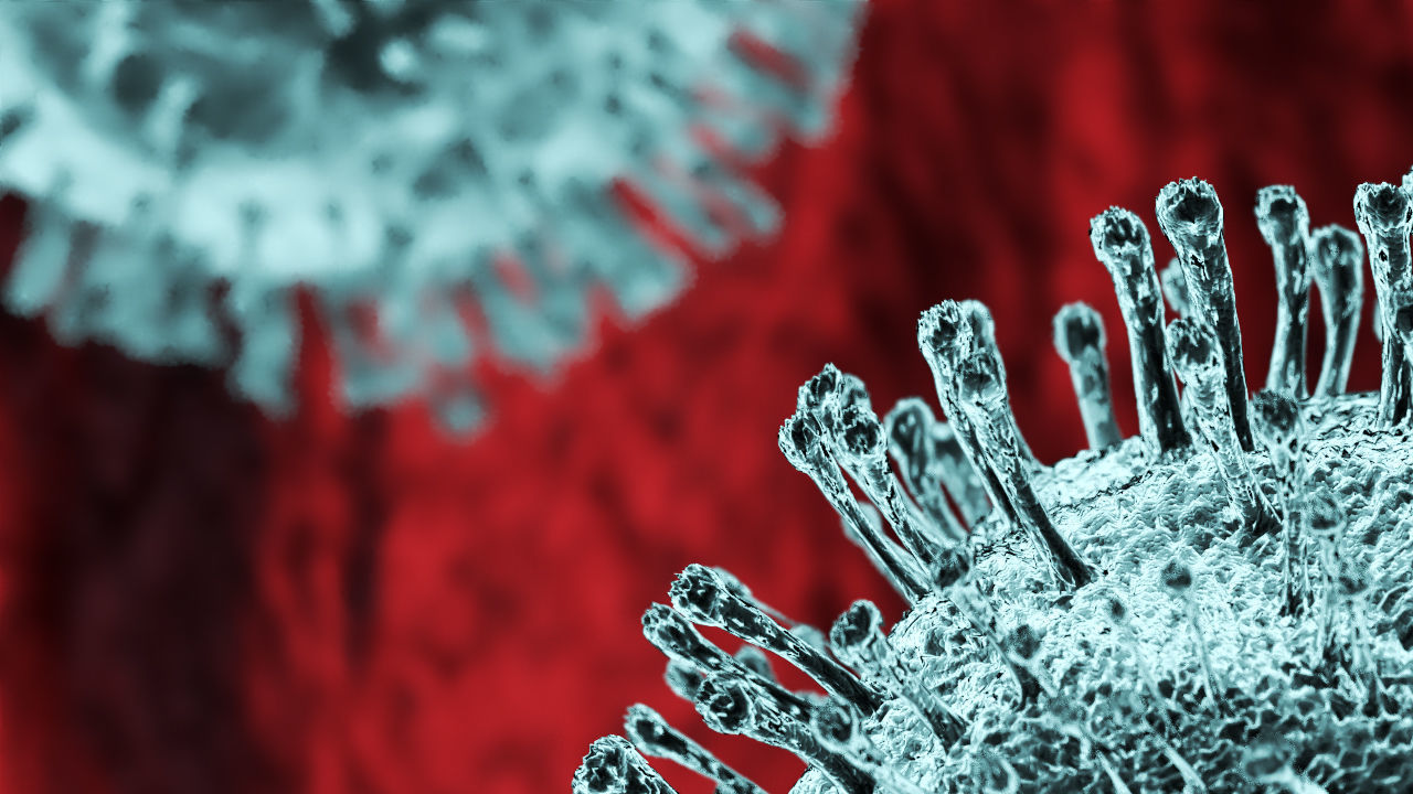 Corona Virus 3D Scene 3D model_1