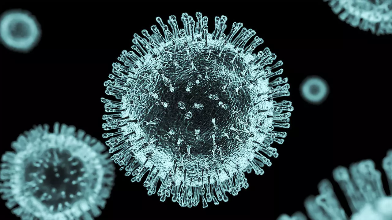 Corona Virus 3D Scene 3D model_0