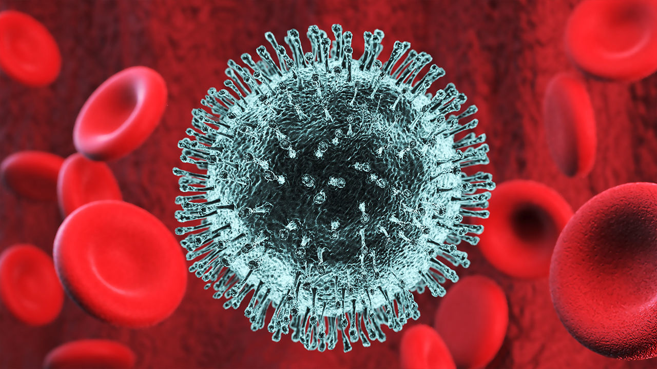 Corona Virus 3D Scene 3D model_4
