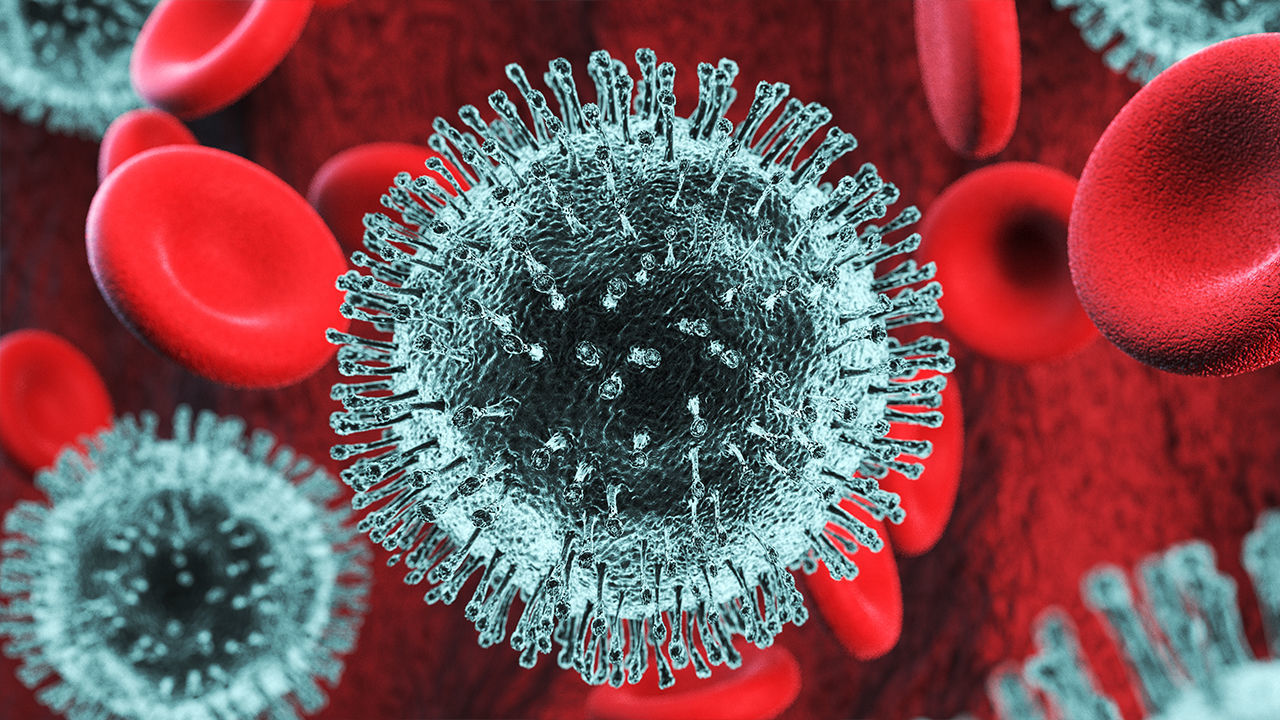 Corona Virus 3D Scene 3D model_2
