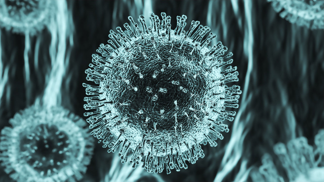 Corona Virus 3D Scene 3D model_3