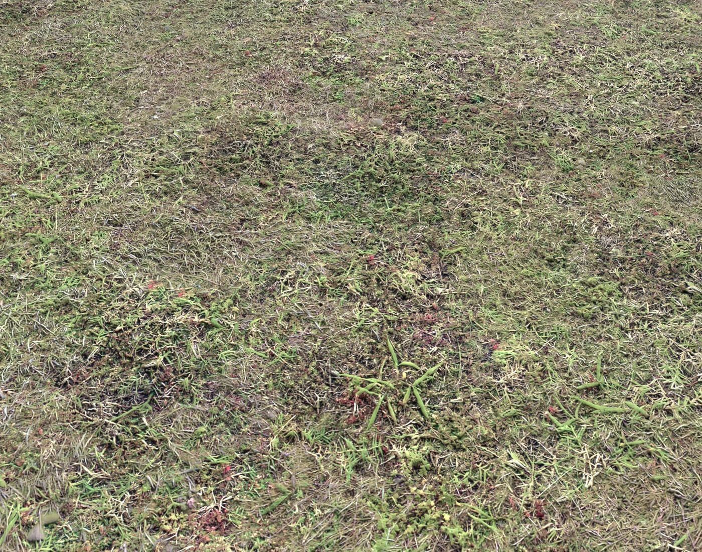 Ground terrain forest tundra PBR pack 5 Texture_17