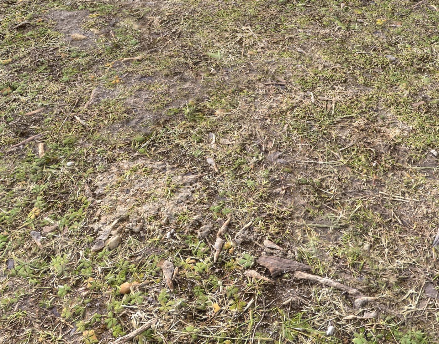 Ground terrain forest tundra PBR pack 5 Texture_15