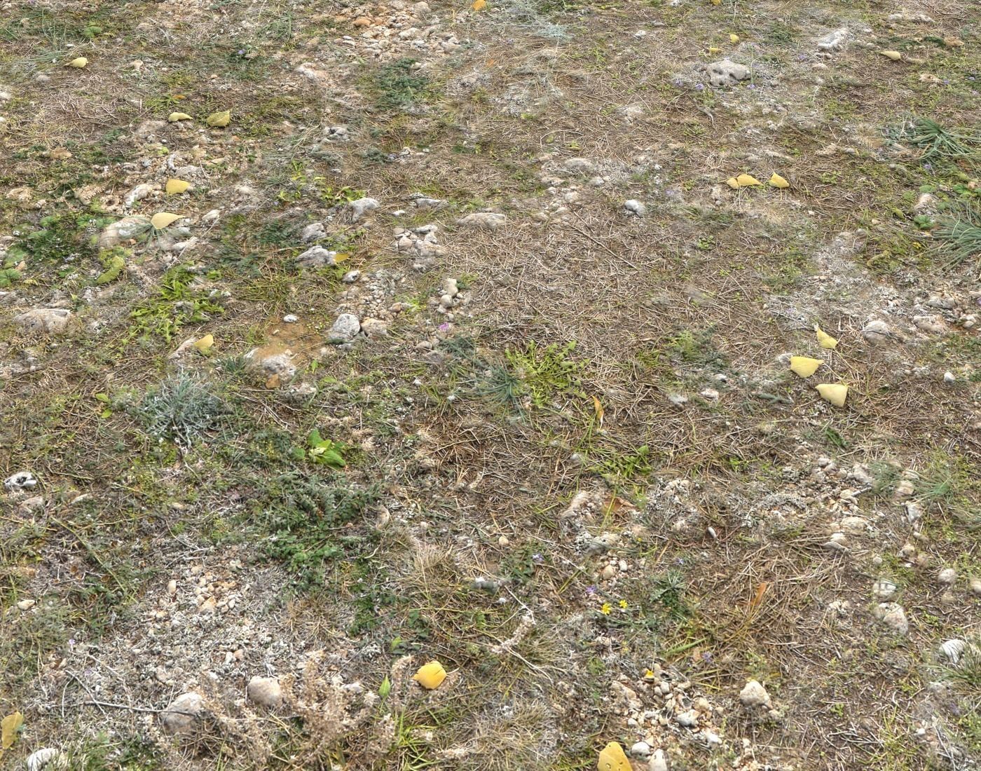 Ground terrain forest tundra PBR pack 5 Texture_9