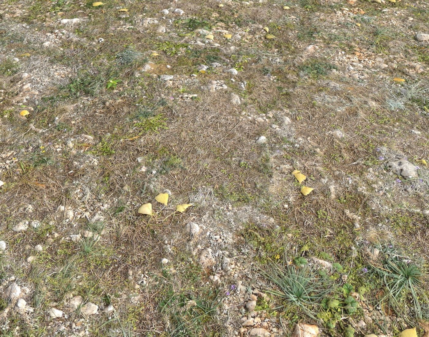 Ground terrain forest tundra PBR pack 5 Texture_10