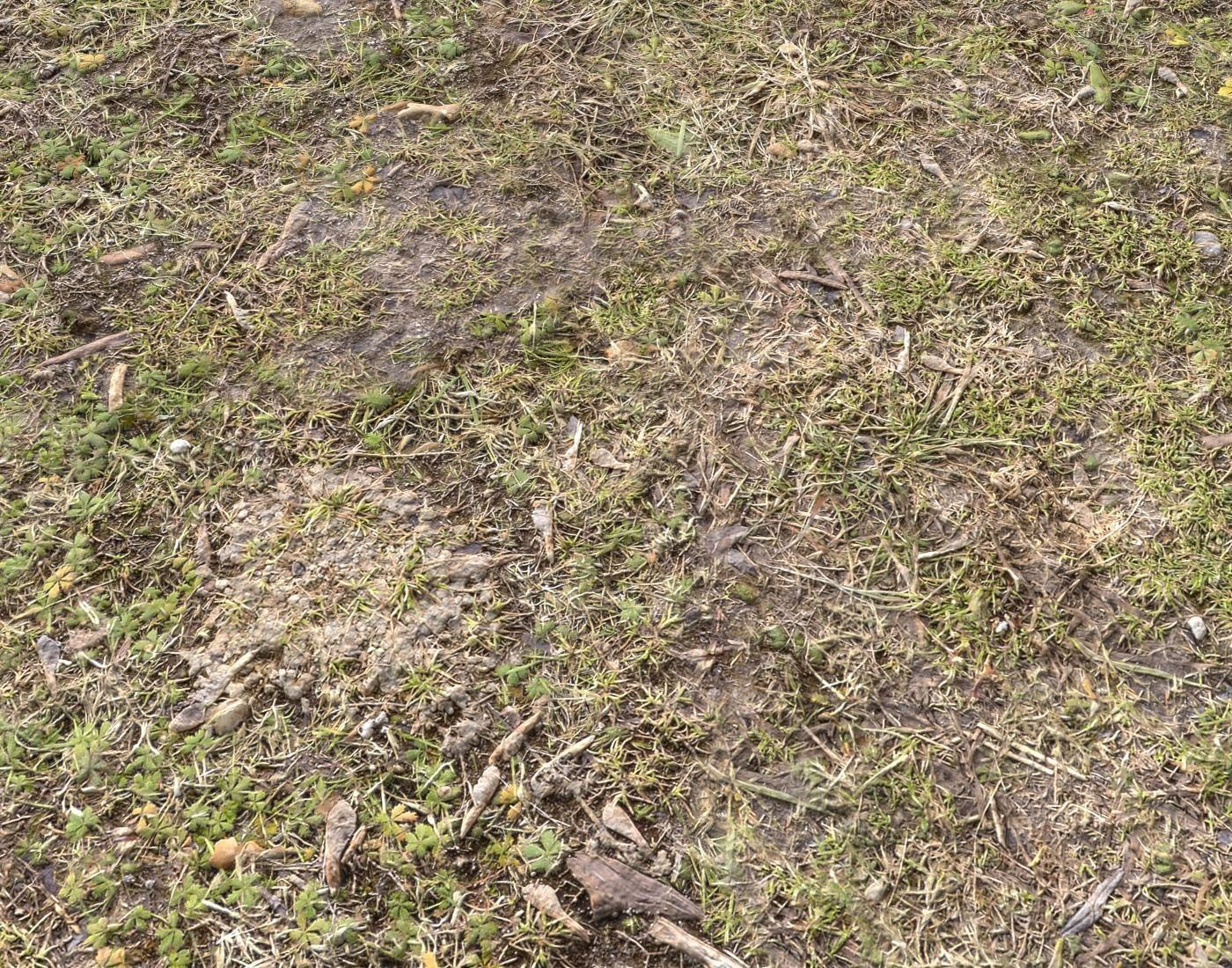 Ground terrain forest tundra PBR pack 5 Texture_16