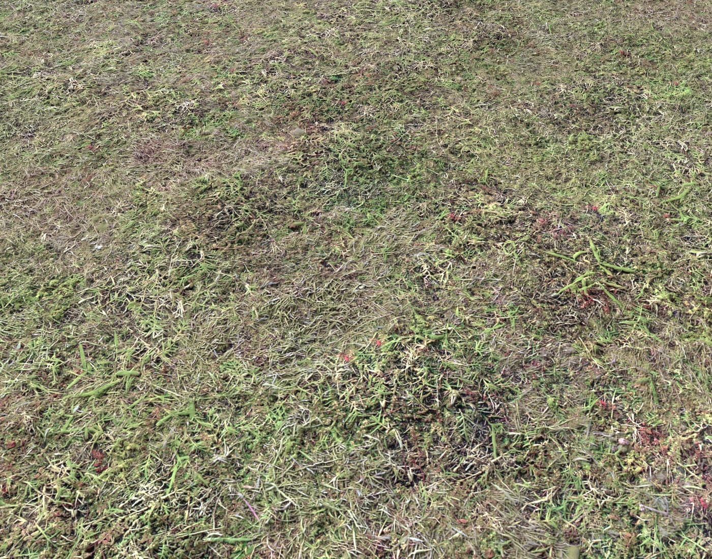 Ground terrain forest tundra PBR pack 5 Texture_19