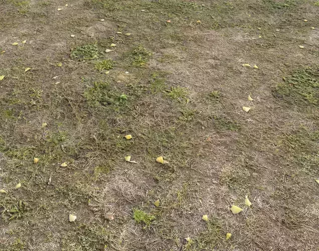 Ground terrain forest tundra PBR pack 5 Texture