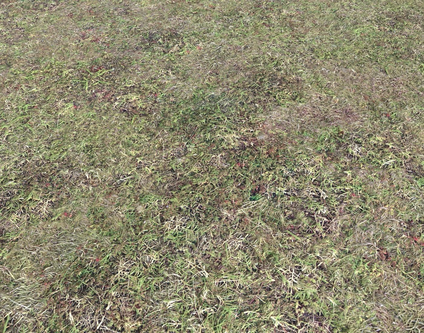 Ground terrain forest tundra PBR pack 5 Texture_18