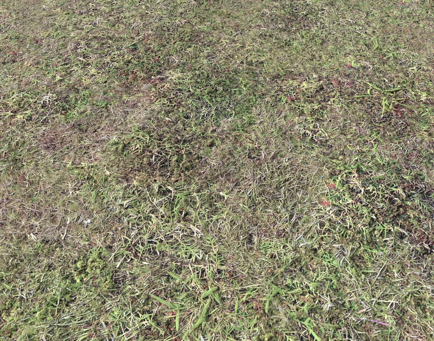 Ground terrain forest tundra PBR pack 5 Texture_20