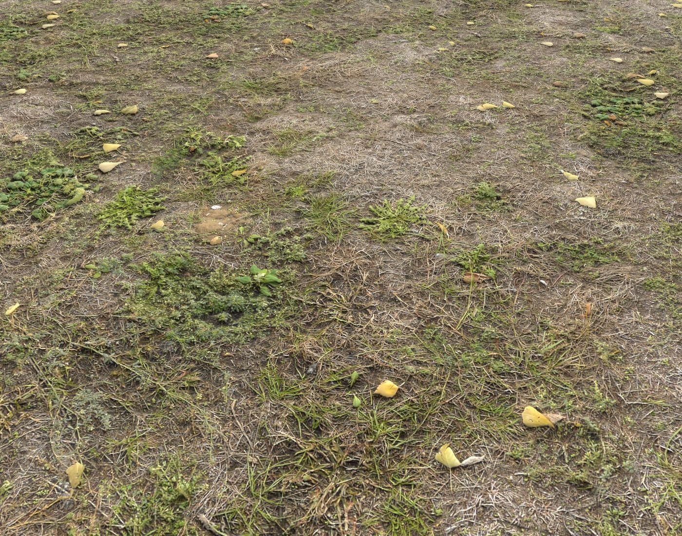 Ground terrain forest tundra PBR pack 5 Texture_7