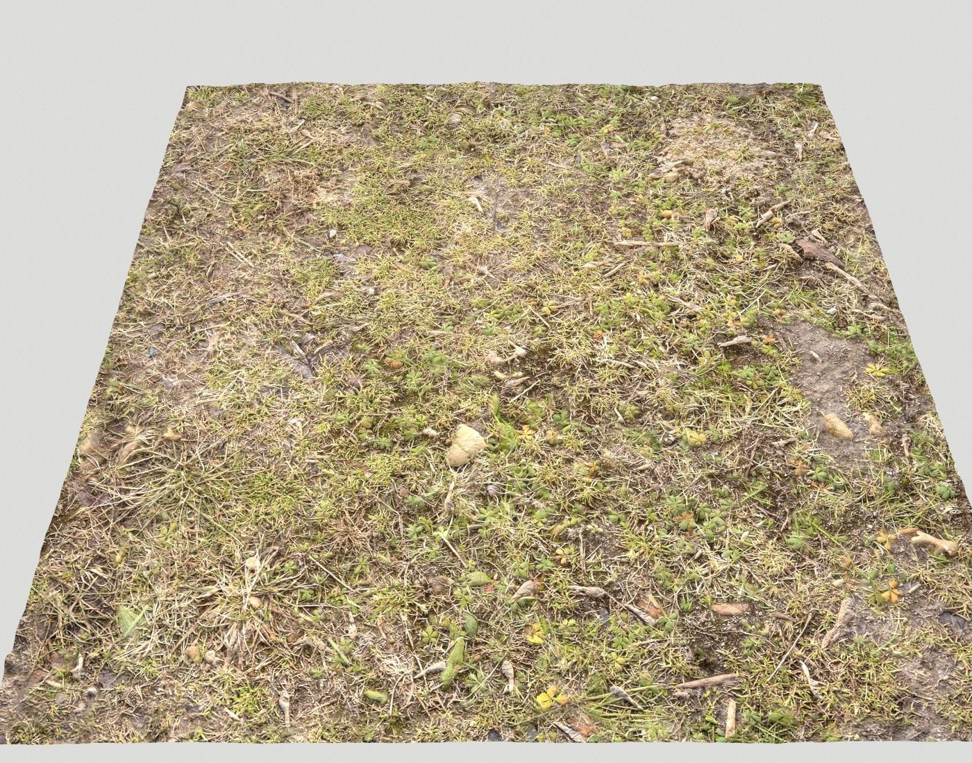 Ground terrain forest tundra PBR pack 5 Texture_23