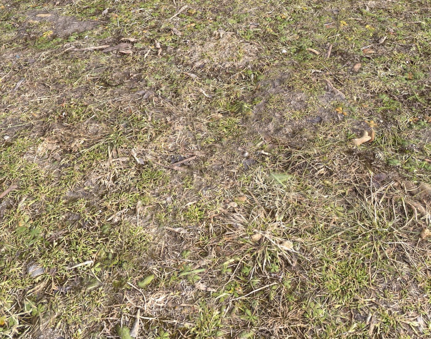 Ground terrain forest tundra PBR pack 5 Texture_14