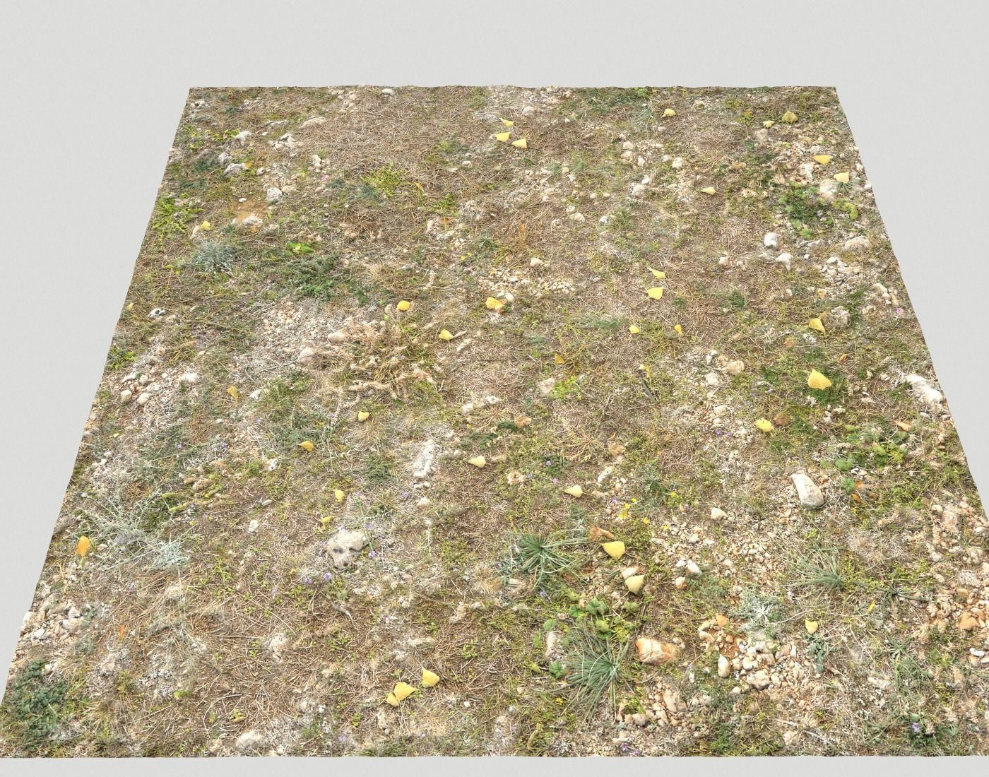 Ground terrain forest tundra PBR pack 5 Texture_22