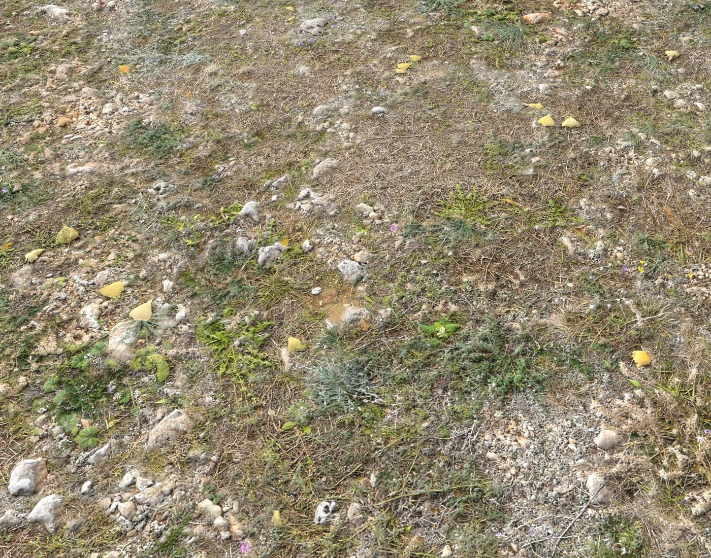 Ground terrain forest tundra PBR pack 5 Texture_11