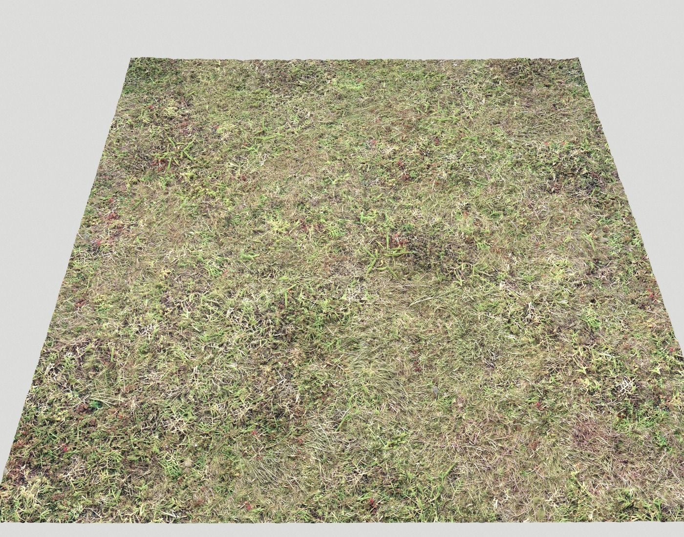 Ground terrain forest tundra PBR pack 5 Texture_24