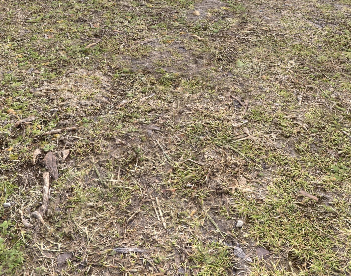 Ground terrain forest tundra PBR pack 5 Texture_13