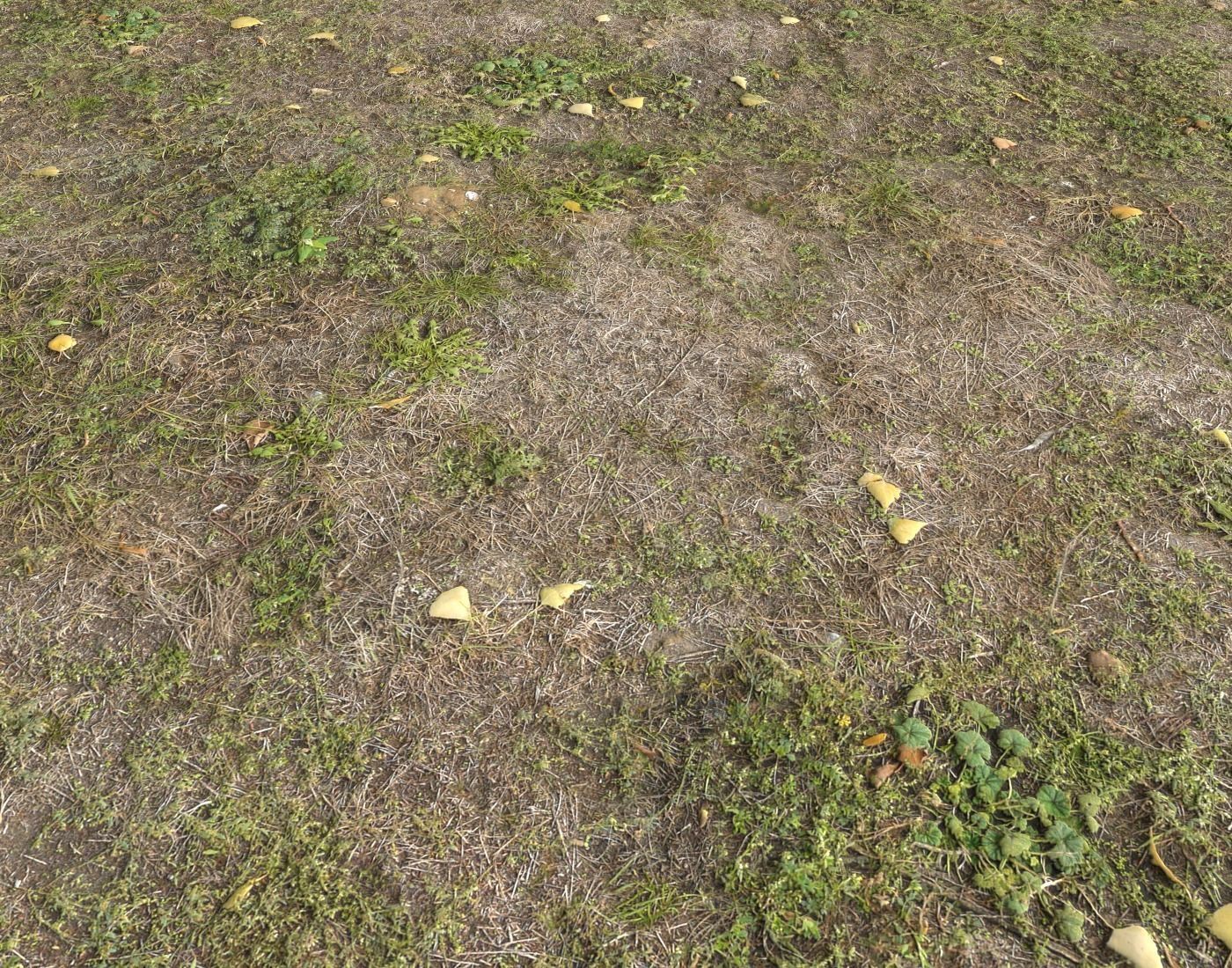 Ground terrain forest tundra PBR pack 5 Texture_6