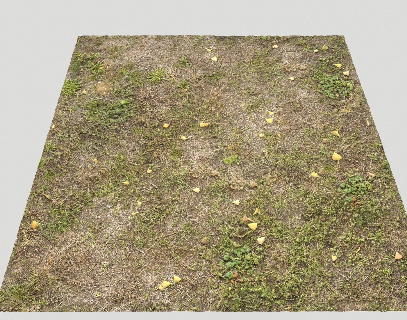 Ground terrain forest tundra PBR pack 5 Texture_21