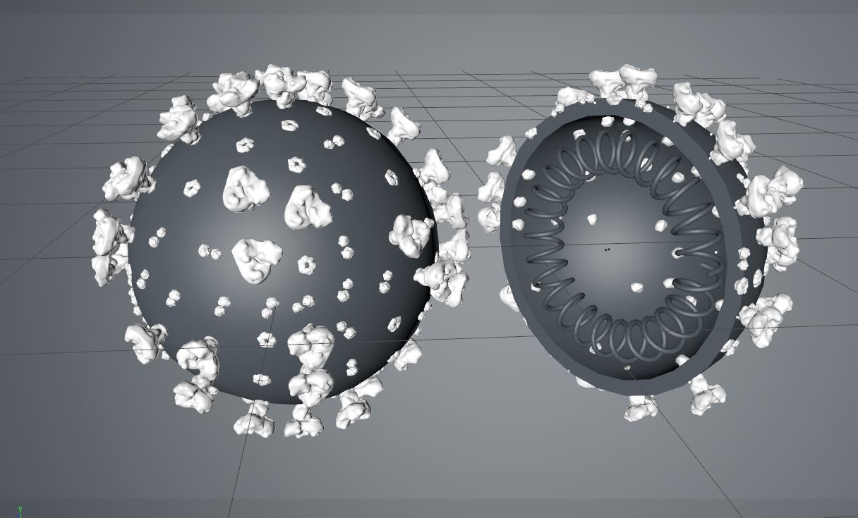 Corona Virus COVID-19 3D model 3D model_4