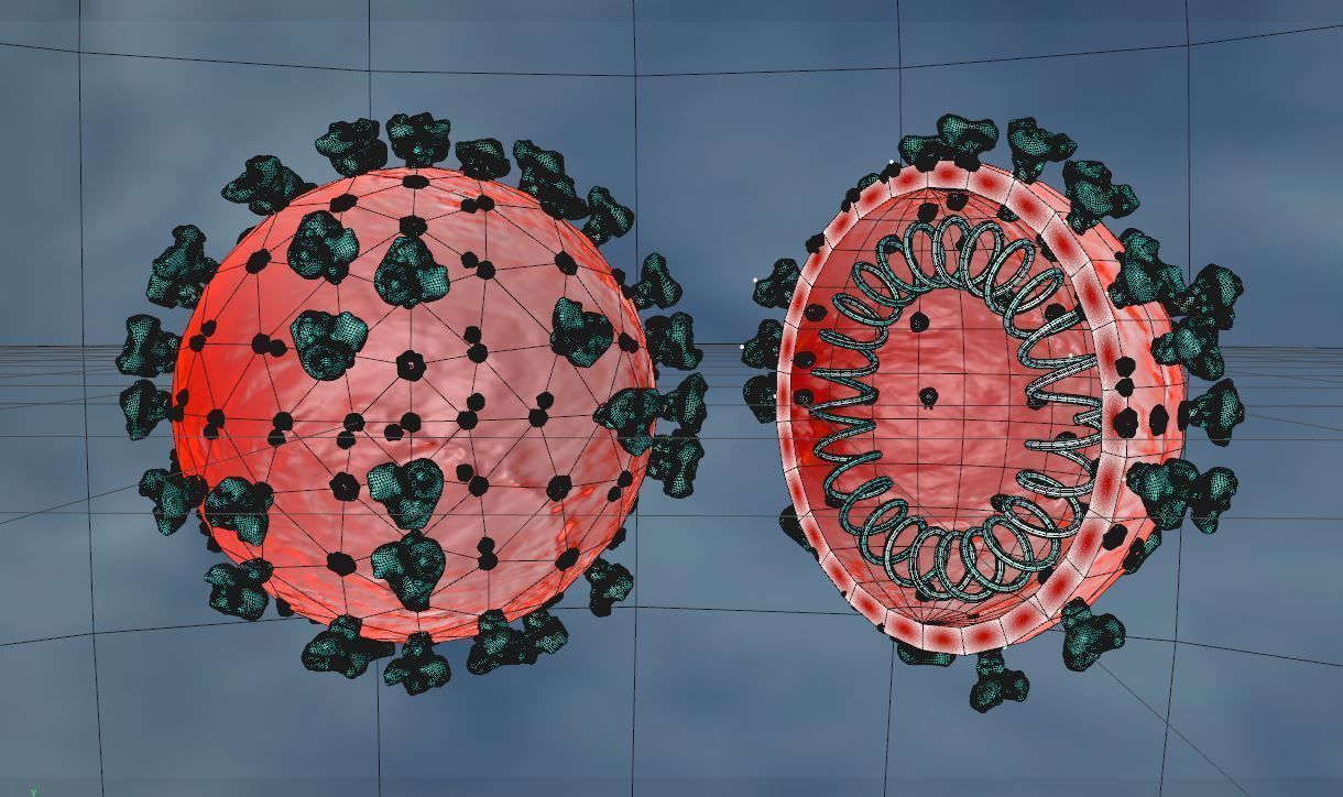 Corona Virus COVID-19 3D model 3D model_2