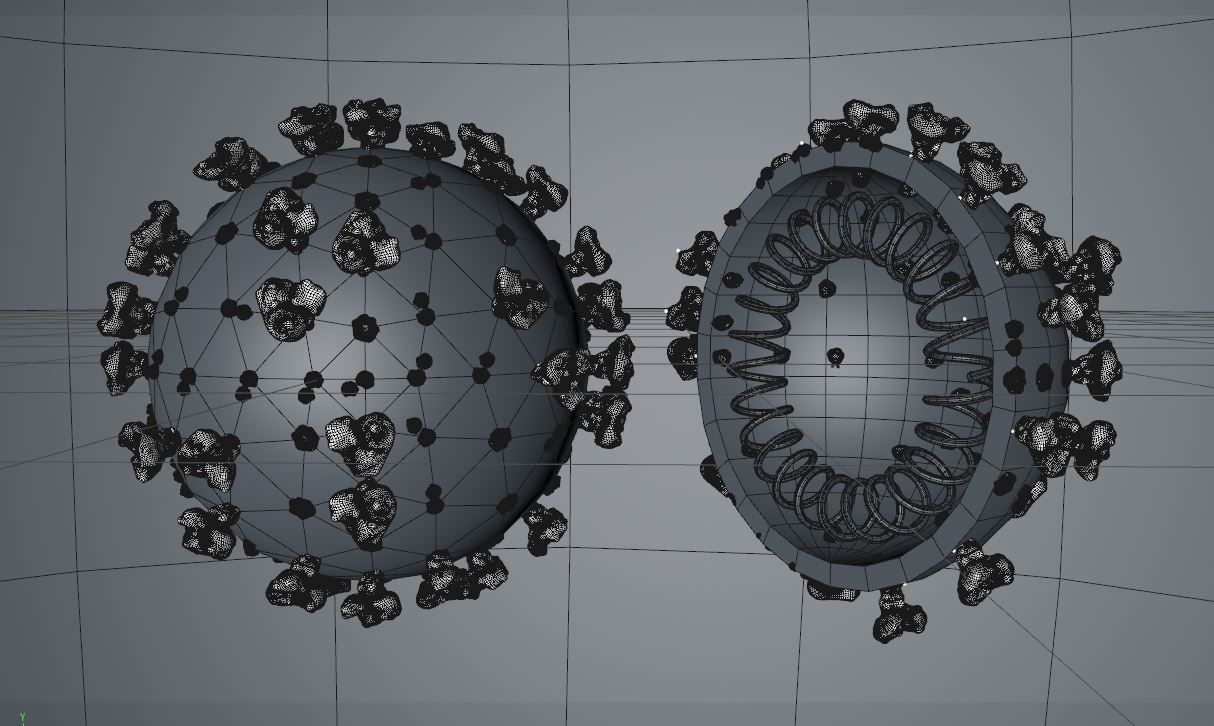 Corona Virus COVID-19 3D model 3D model_3
